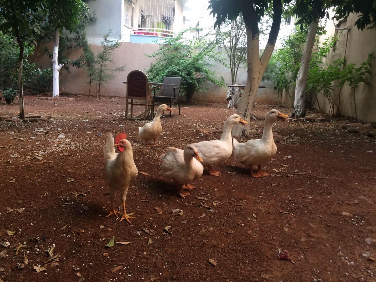 Uyar Palace أنطاليا المظهر الخارجي الصورة